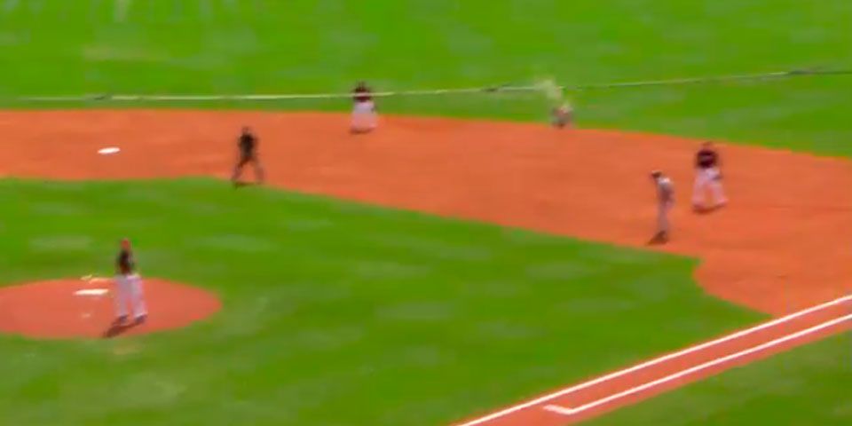 Ave es golpeada por bola de béisbol