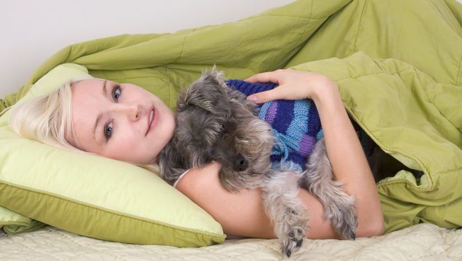 ¿El perro puede dormir en la cama?