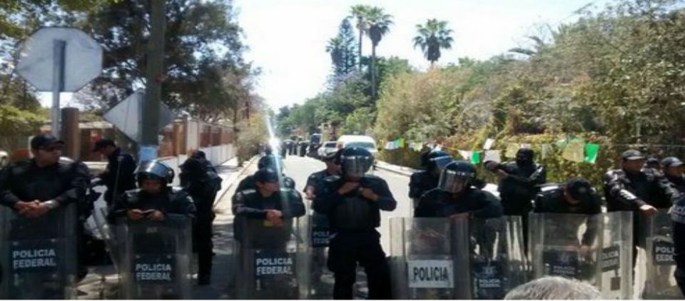 Profepa asegura especies de El Club de los Animalitos