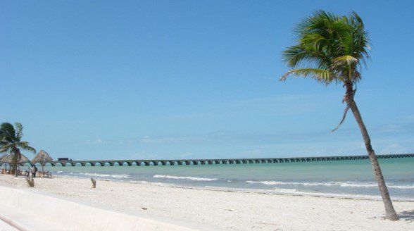 Capturan al líder del Cártel de Acapulco