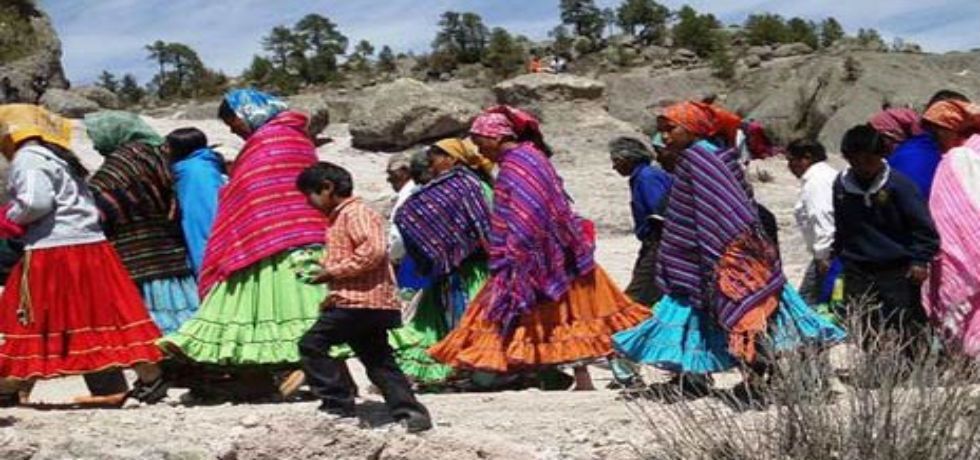 Liberan a 200 indígenas que eran explotados laboralmente