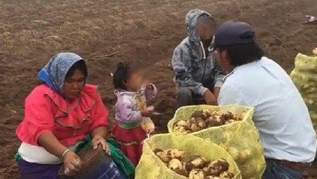 Denunciamos explotación laboral de tarahumaras ante PGR: Navarrete Prida