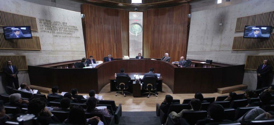 Tribunal Electoral sanciona con 5 mdp al Partido Verde