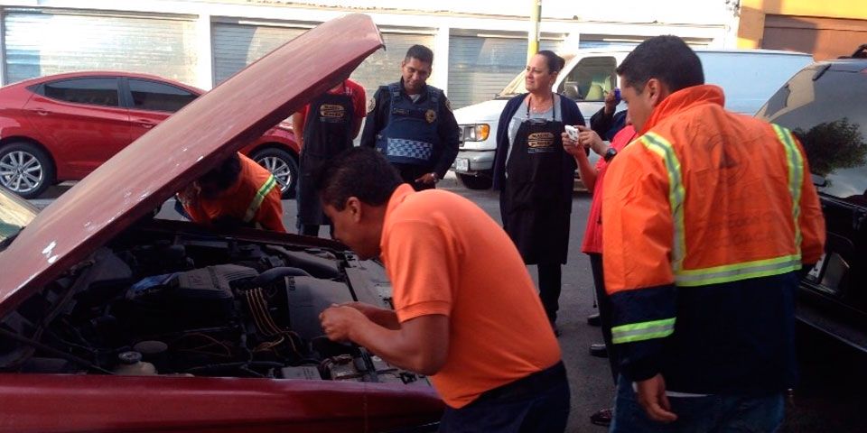 Encuentran serpiente dentro de motor en Coyoacán
