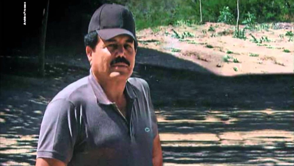 Congelan bienes de socios de ‘El Mayo’