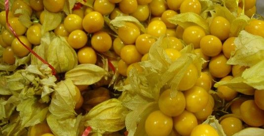 Crean bebida para evitar cáncer, diabetes y obesidad