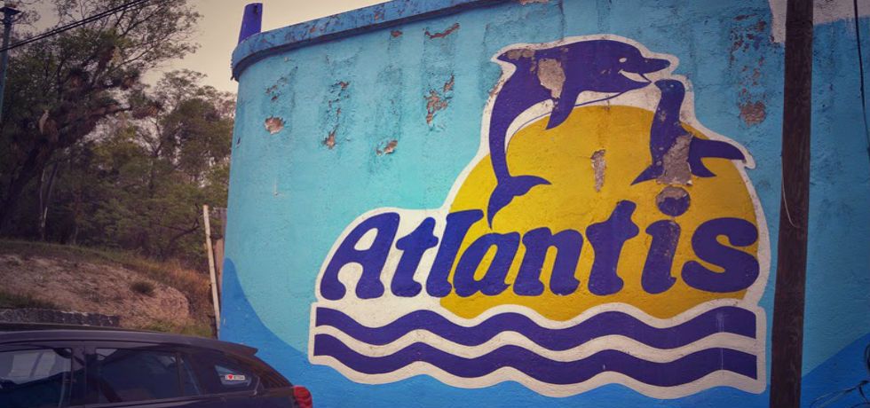 Trasladan a 5 delfines de Atlantis a Guadalajara y Guanajuato Trasladan a 5 delfines de Atlantis a Guadalajara y Guanajuato