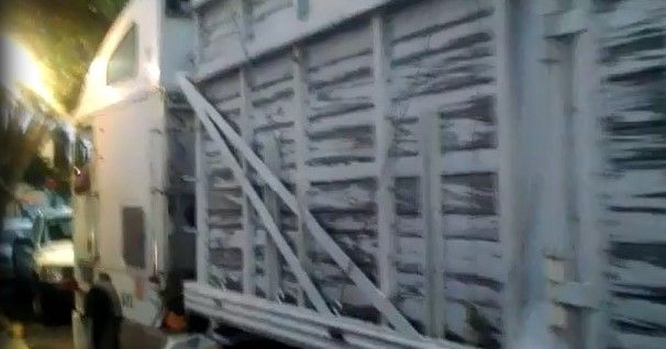 Rescatan a 129 migrantes en el Edomex