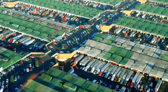 Matan a un hombre en la Central de Abasto Matan a un hombre en la Central de Abasto