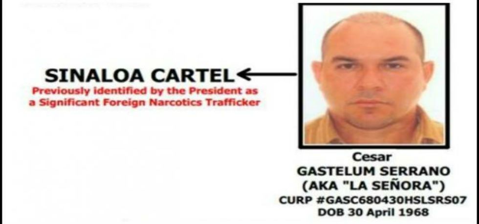 Socio de “El Mayo” declara en la SEIDO