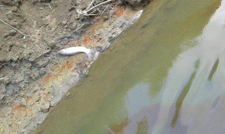 Suspenden clases en Tabasco por falta de agua Suspenden clases en Tabasco por falta de agua