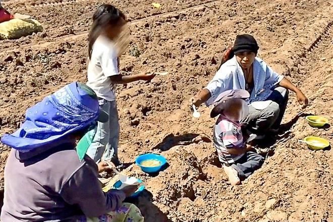 Jornaleros recibirán 15% más diarios Jornaleros recibirán 15% más diarios