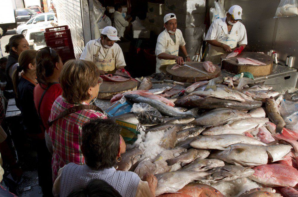 Mexicanos comen 9.40 kilos de pescados y mariscos al año