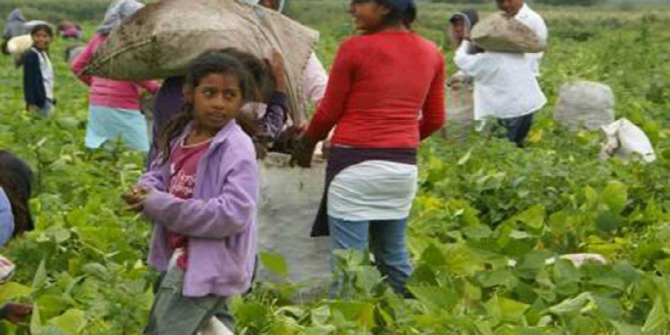 Los acuerdos fueron muy importantes para los jornaleros: vocero