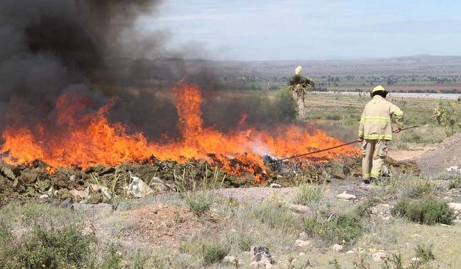 PGR incinera cinco toneladas de drogas en Zacatecas