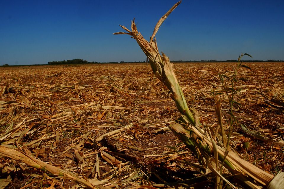 Conagua presenta libro “Incrementando la resiliencia ante la variación y el cambio climático”