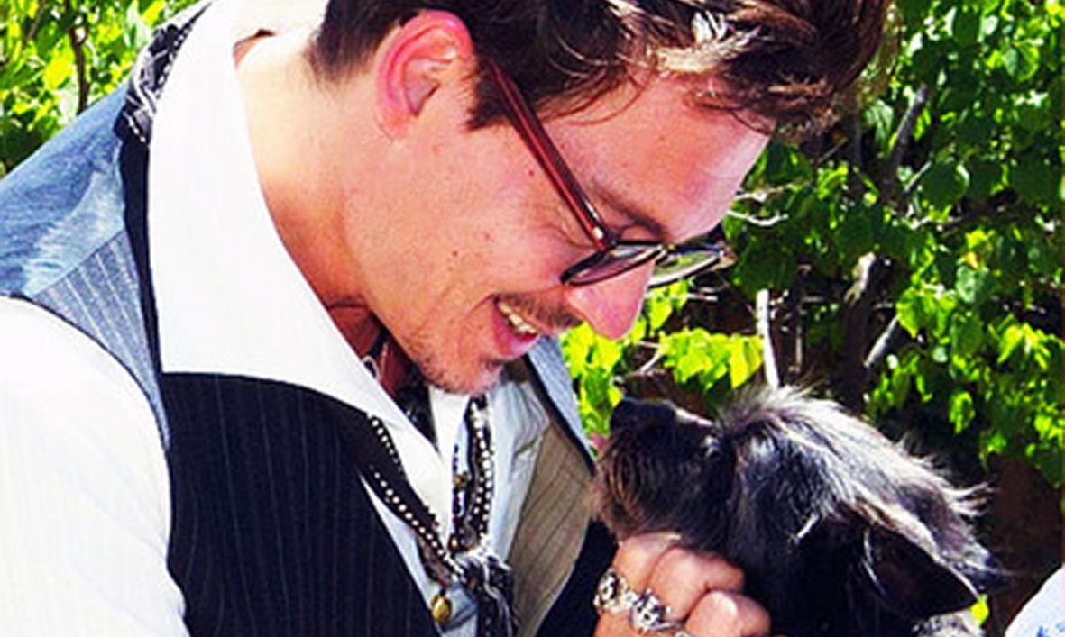 Australia amenaza con sacrificar perros de Johnny Depp Australia amenaza con sacrificar perros de Johnny Depp