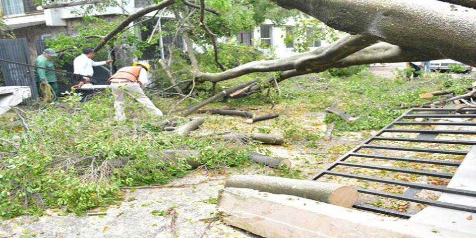 Espectacular cae sobre peatón en Morelos