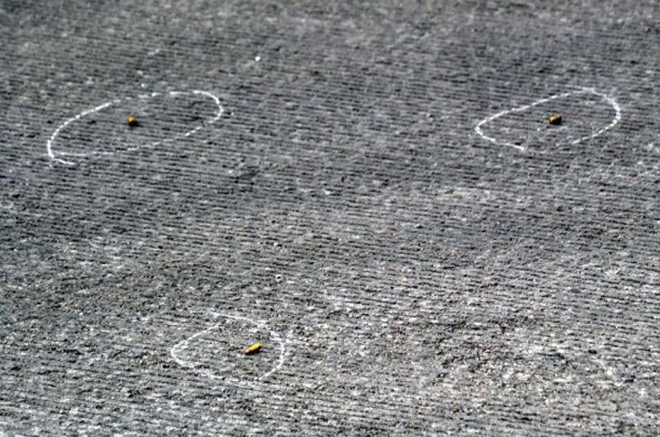 Asesinan a taxista en Acapulco