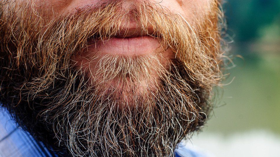 ¿Qué tan sucia es una barba?