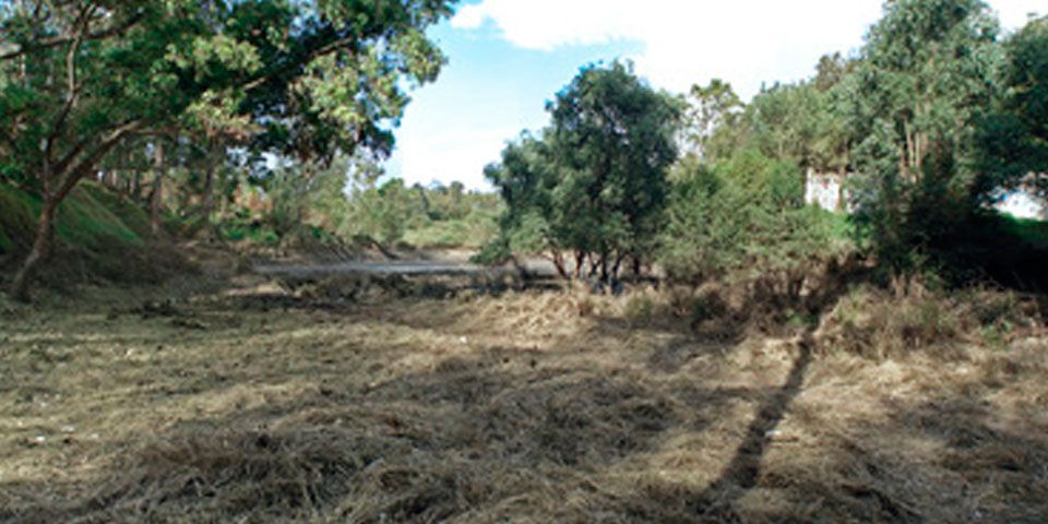 Encuentran cuerpo momificado en Chapultepec