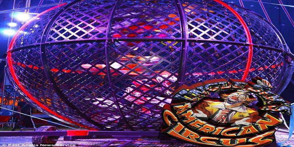 Video: accidente en espectáculo de motociclistas