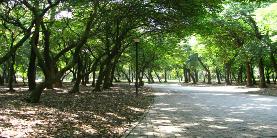 Parque ‘El Mexicanito’ será abierto en 2 o 3 meses: Tanya Müller