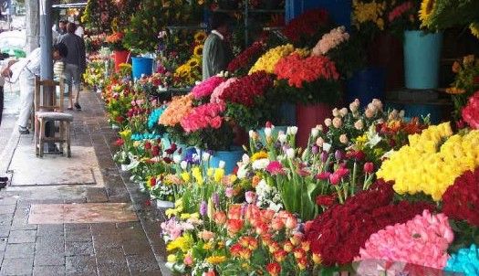 Profeco inicia operativo por Día de las madres Profeco inicia operativo por Día de las madres