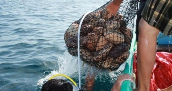 Un desaparecido por choque de lanchas en Yucatán