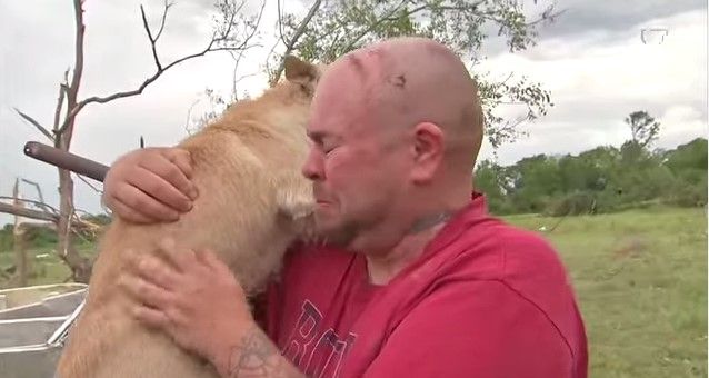 Familia y perro se reúnen después de tornado