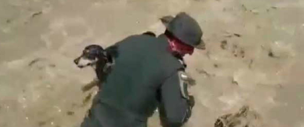 Video: rescatan a perro de las inundaciones Video: rescatan a perro de las inundaciones