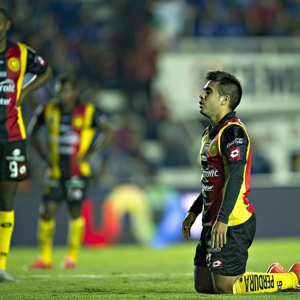 Directiva de Leones Negros se disculpa por el descenso