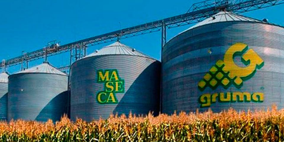 Gruma supera al Índice Regio Gruma supera al Índice Regio