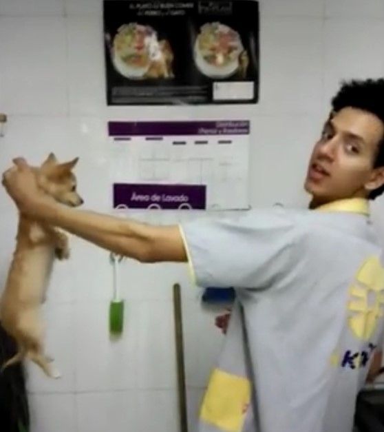 PGJ de Hidalgo investiga a jóvenes empleados de +Kota