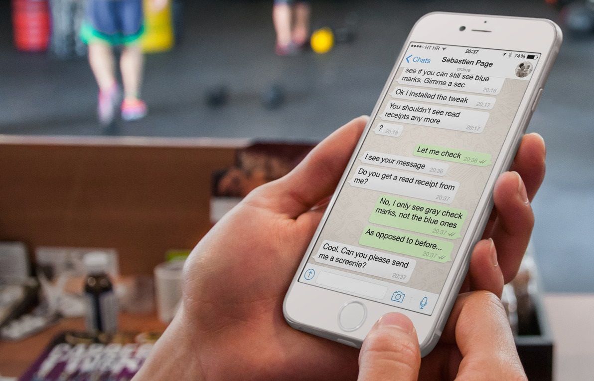 WhatsApp lanza actualización en iOS WhatsApp lanza actualización en iOS