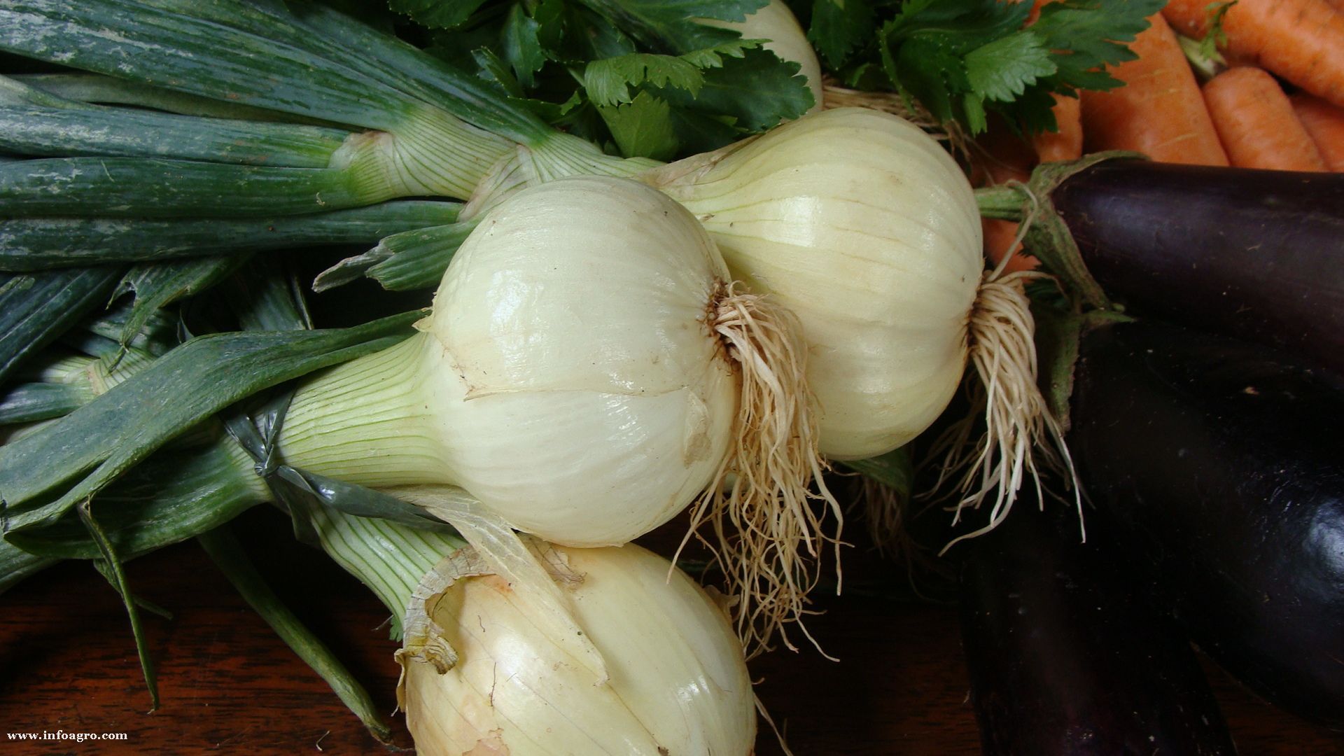 Inflación baja a 2.60 por ciento en primera quincena de abril - b48_1_cebolla_dsc00120