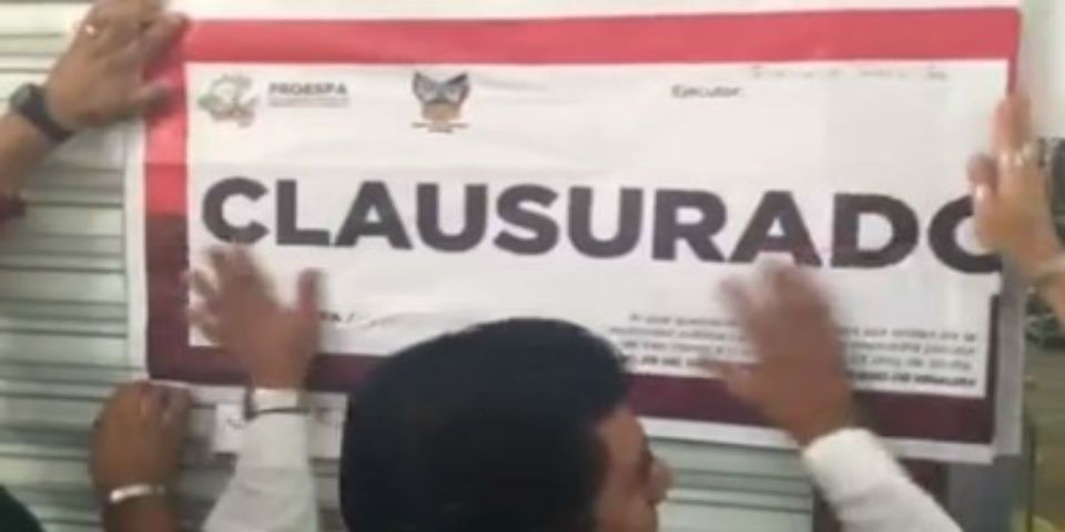 Clausuran tienda de +KOTA por maltrato animal