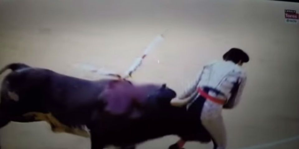 Torero recibe una cornada en una ingle