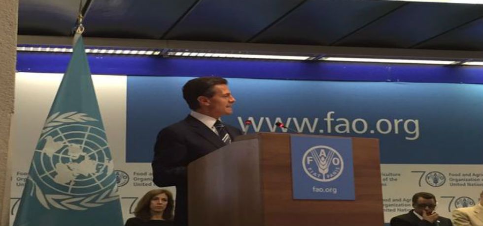 Es posible combatir la pobreza en el mundo: EPN