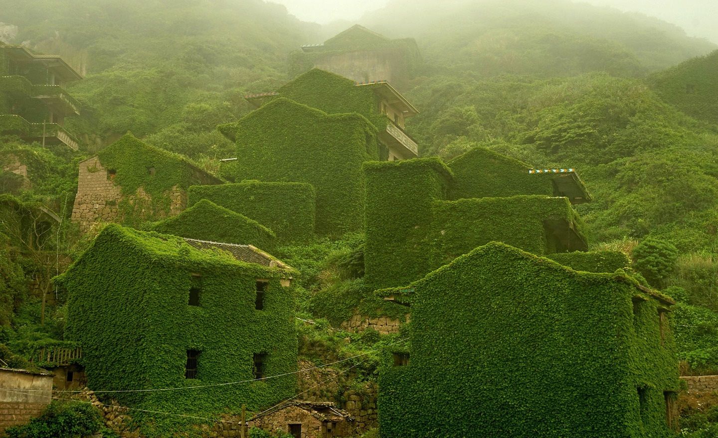 Imágenes: pueblo fantasma verde Imágenes: pueblo fantasma verde