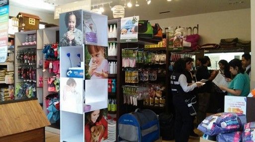 Profepa asegura 45 ejemplares silvestres en operativo