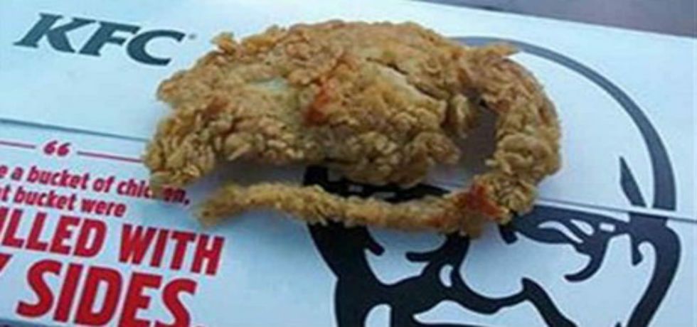 KFC México habla de la supuesta rata empanizada