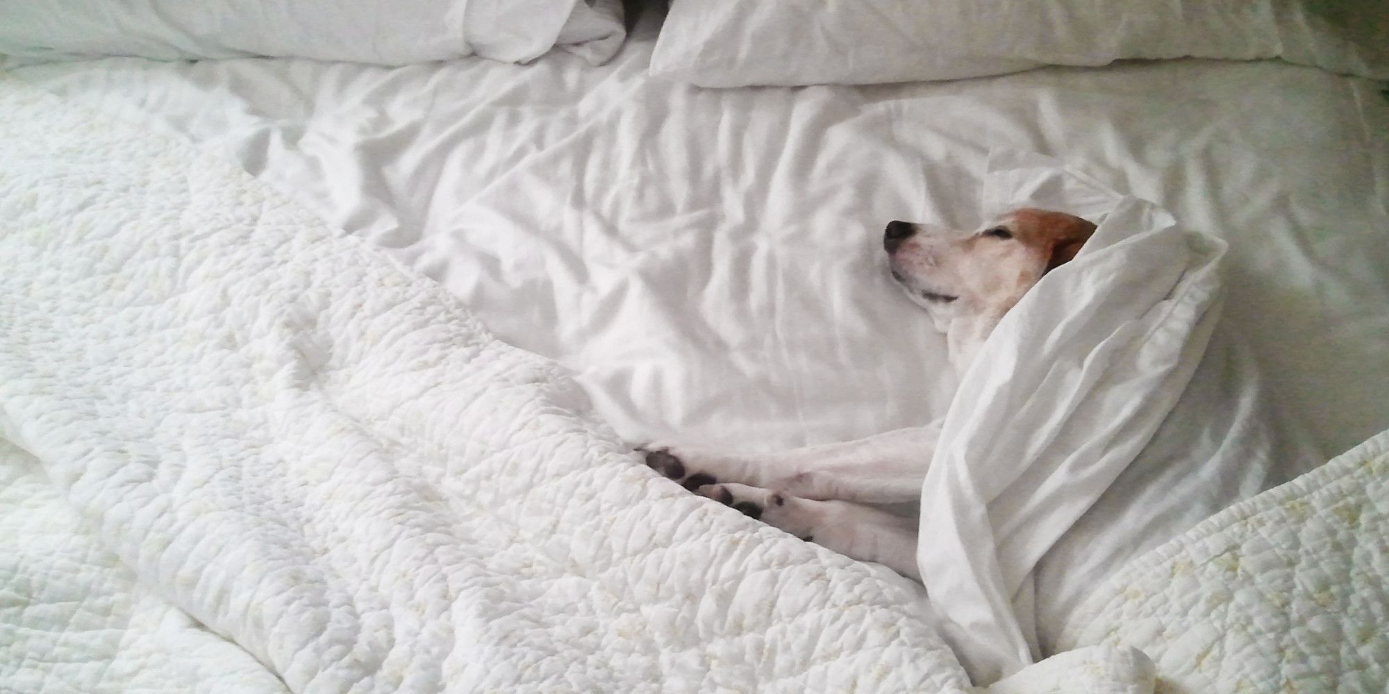 ¿Qué sucede si no se lavan las sábanas?