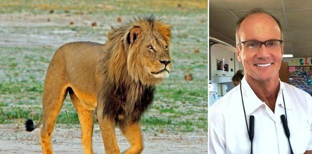 Zimbabue solicita extradición del dentista que cazó a Cecil
