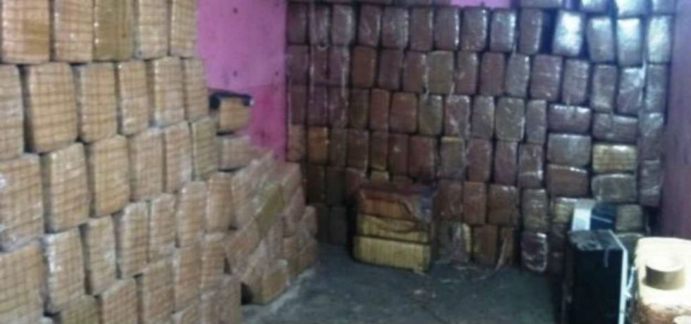 Decomisan más de 2 toneladas de mariguana en Tamaulipas