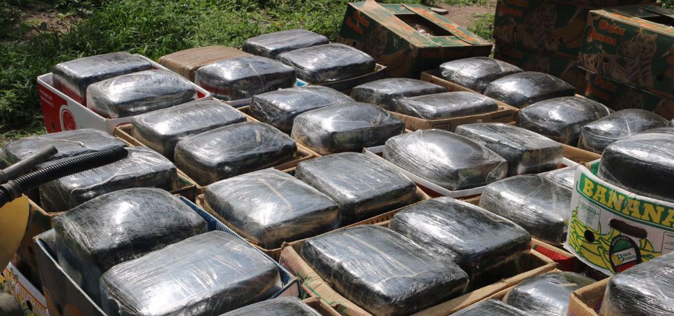 Autoridades aseguran cinco toneladas de mariguana en Jalisco Autoridades aseguran cinco toneladas de mariguana en Jalisco