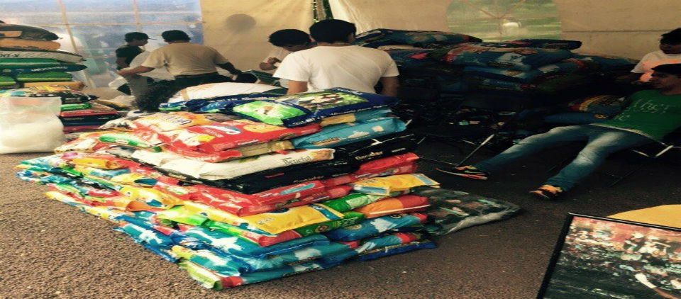 Albergue de perros necesita donativos