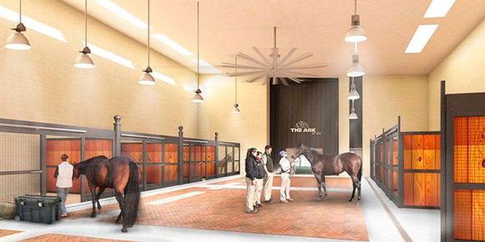 Construirán primer terminal para animales en Aeropuerto JFK de NY