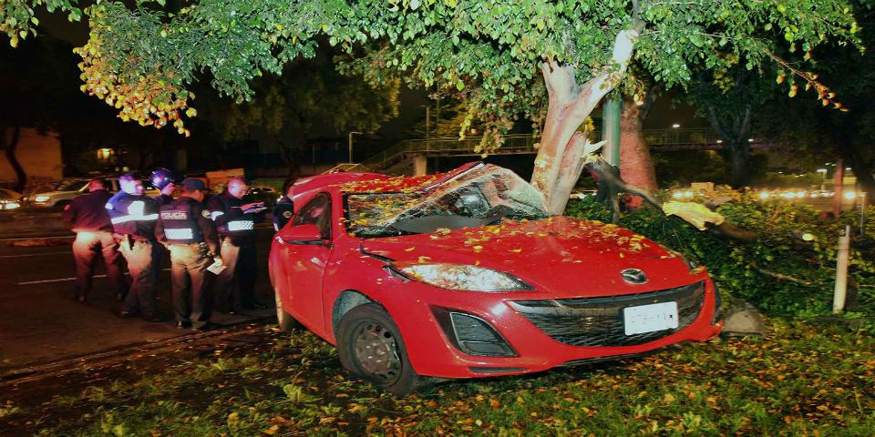 Choca contra un árbol al esquivar cadáver en Viaducto