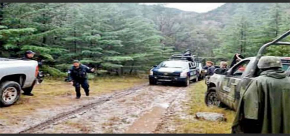 Encuentran cinco degollados en Chihuahua